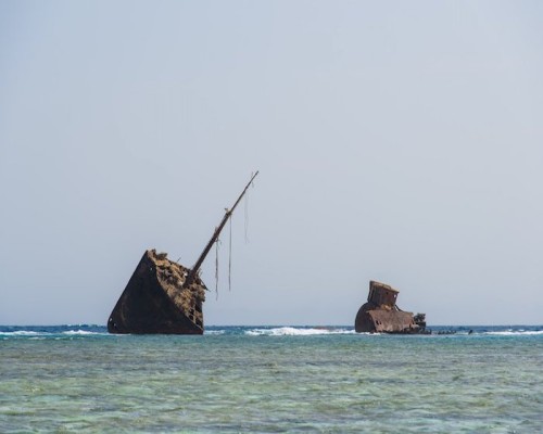 Nabq National Park image