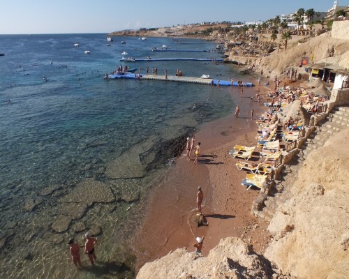 Sharks Bay Beach image