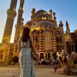 Trip Sharm El Sheikh City Sightseeing Tour Image