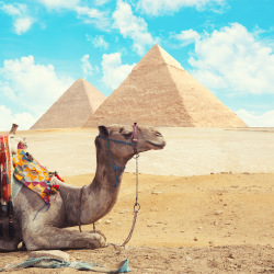 Trip Cairo Excursion by Bus from Sharm El Sheikh Image