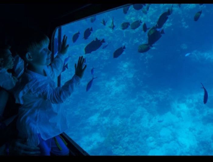 SeaScope Submarine Sharm El Sheikh