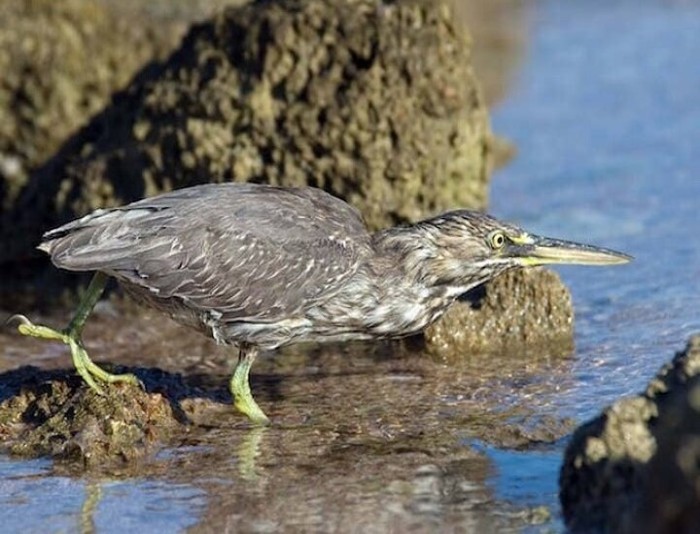 Nabq National Park Excursion From Sharm El Sheikh