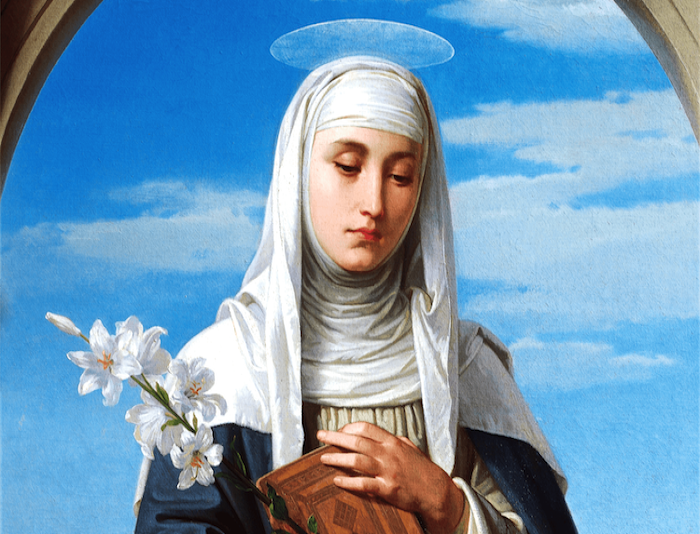 St. Catherine Excursion From Sharm El Sheikh